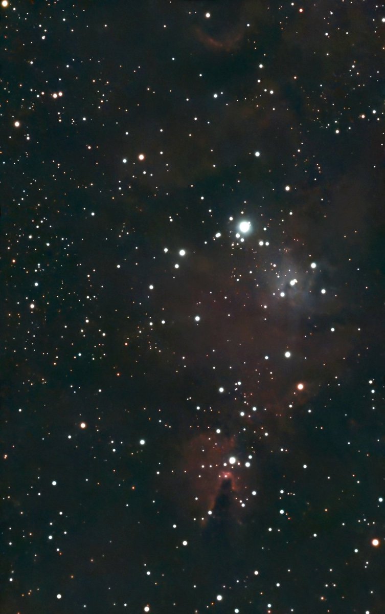 Josep_Trigo's tweet photo. CEL PROFUND DE L'EXTRAORDINÀRIA NIT D'AHIR i captades des del #MontsenyObservatory. Un exemple d'alguns espectaculars cúmuls i nebuloses en exposicions d'uns 10-15 minuts amb el #S50: #M35, #IC443, #NGC2467 i #NGC2264. https://t.co/8ckiLL9EnV