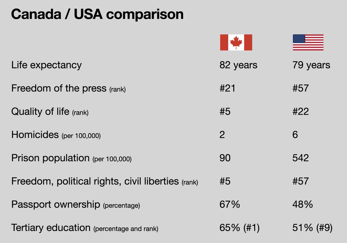 Michael MacKay tweet media