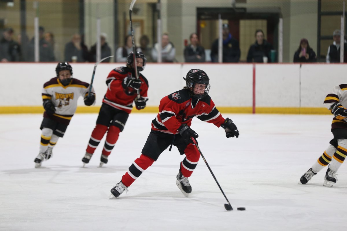 Brandon ToC tweet media