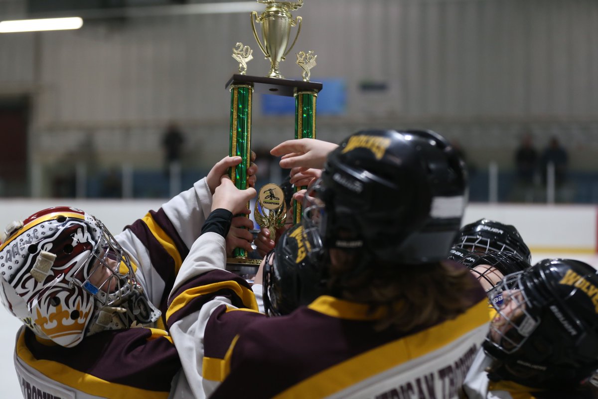 Brandon ToC tweet media