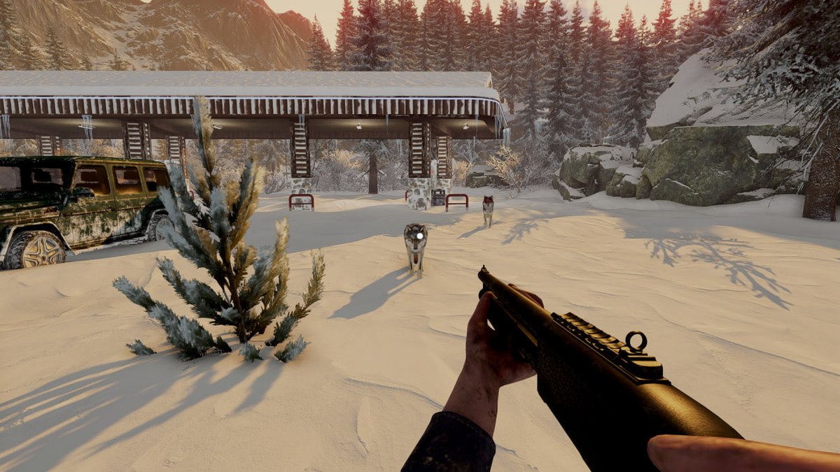 Wildbyte tweet media