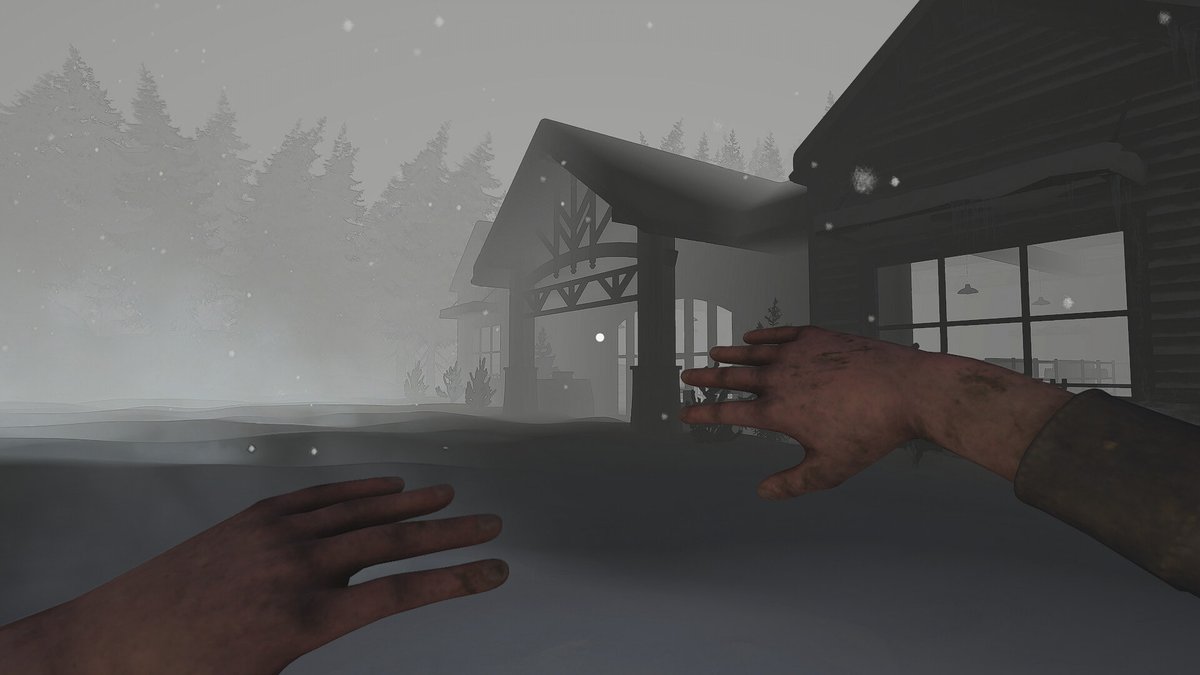 Wildbyte tweet media