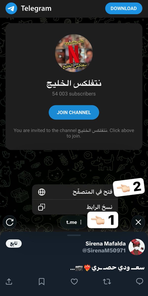 lordtocontrol's tweet photo. اذا ما دخلك للقناة كذا الطريقة الصح https://t.co/CRVhA3azQu