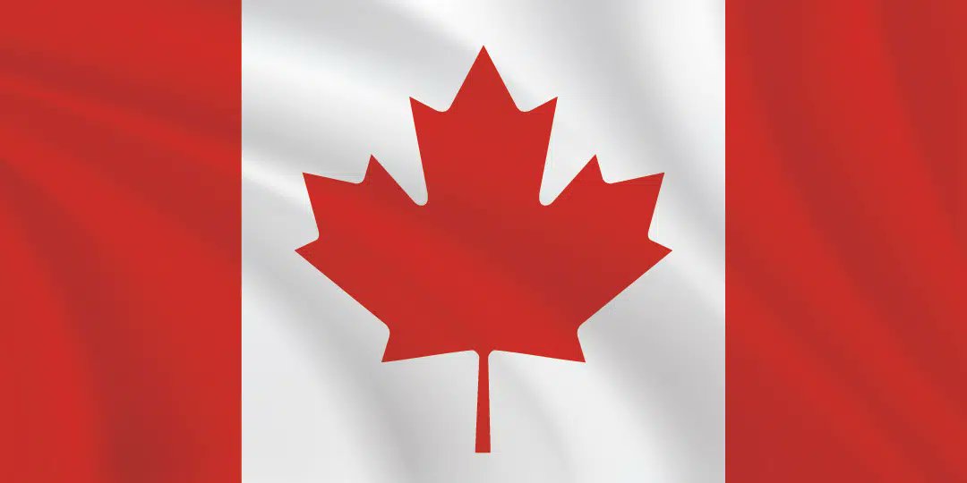 Kohaku🐯💙 tweet media