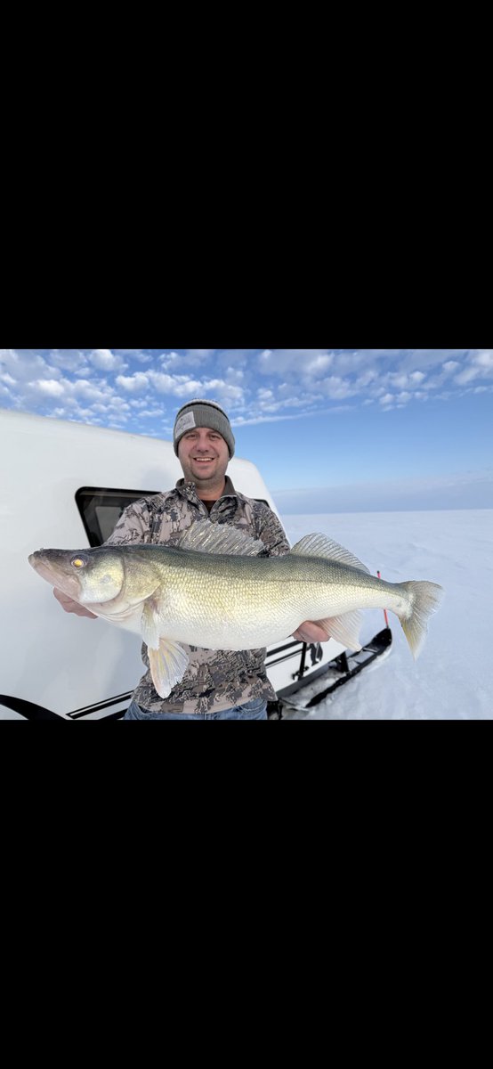 Mark Simon tweet media