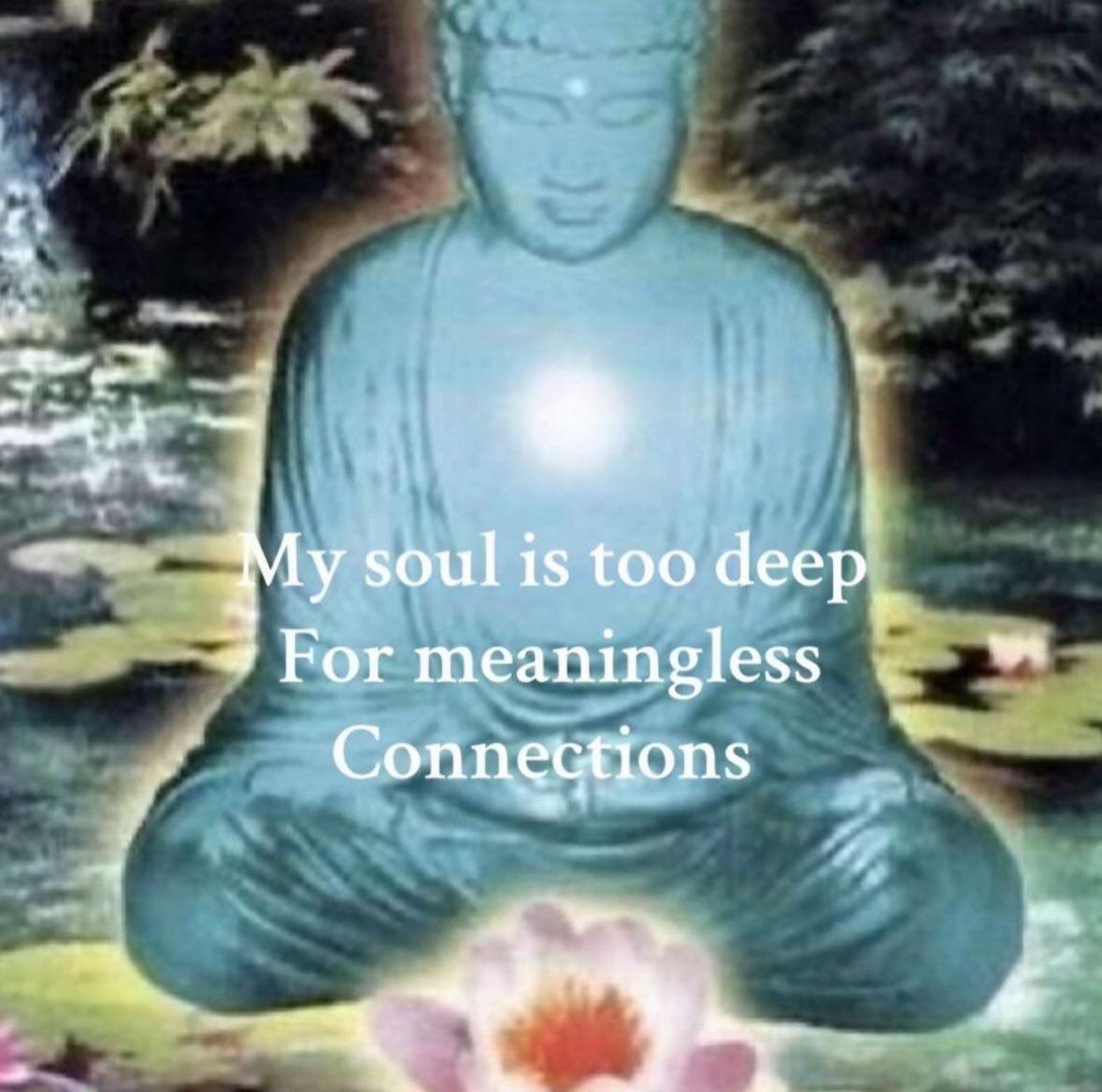 ✧ (@northstardoll) on Twitter photo 