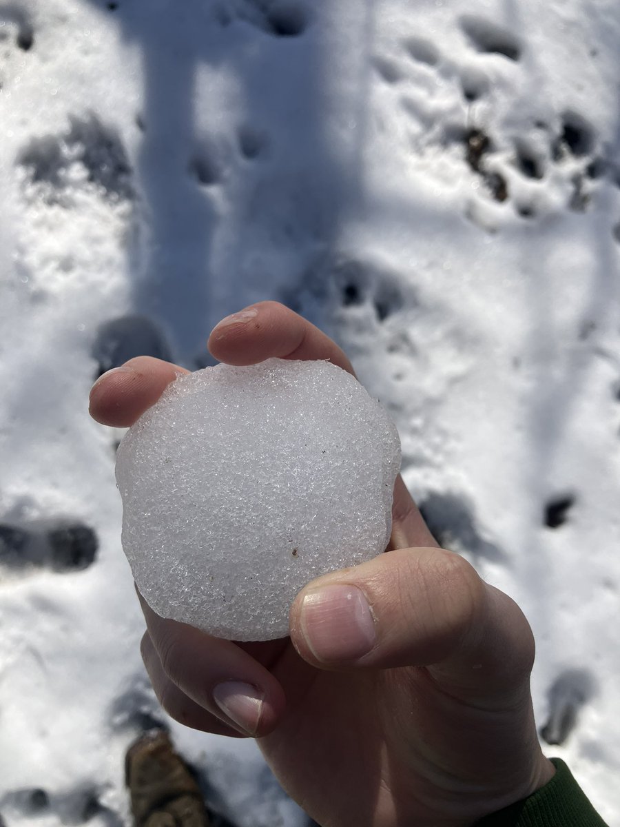 Mooseman0012's tweet image. Lil 2-seamer with arm side run #meandering