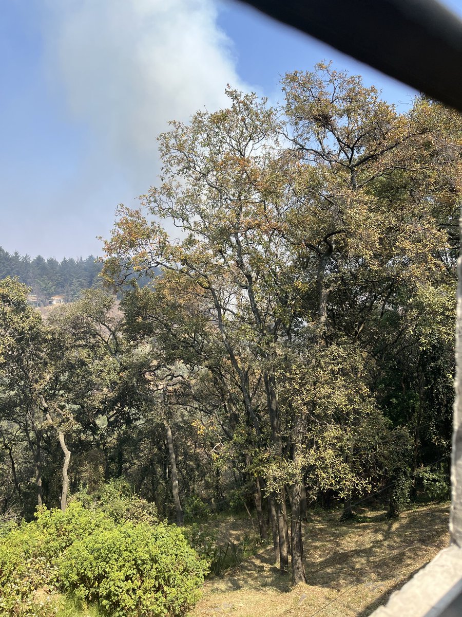 MILAGROS QUEZADA tweet media