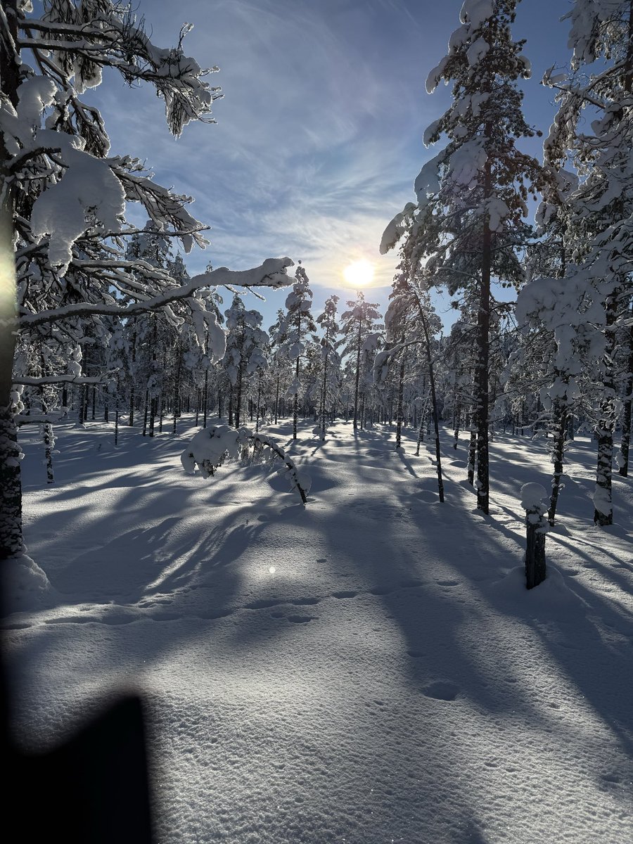 Andreas84487083's tweet photo. En kall men fin sista dag på toppjakten🤩 -30 imorse, tur solen värmde https://t.co/gfy6ujwk2r