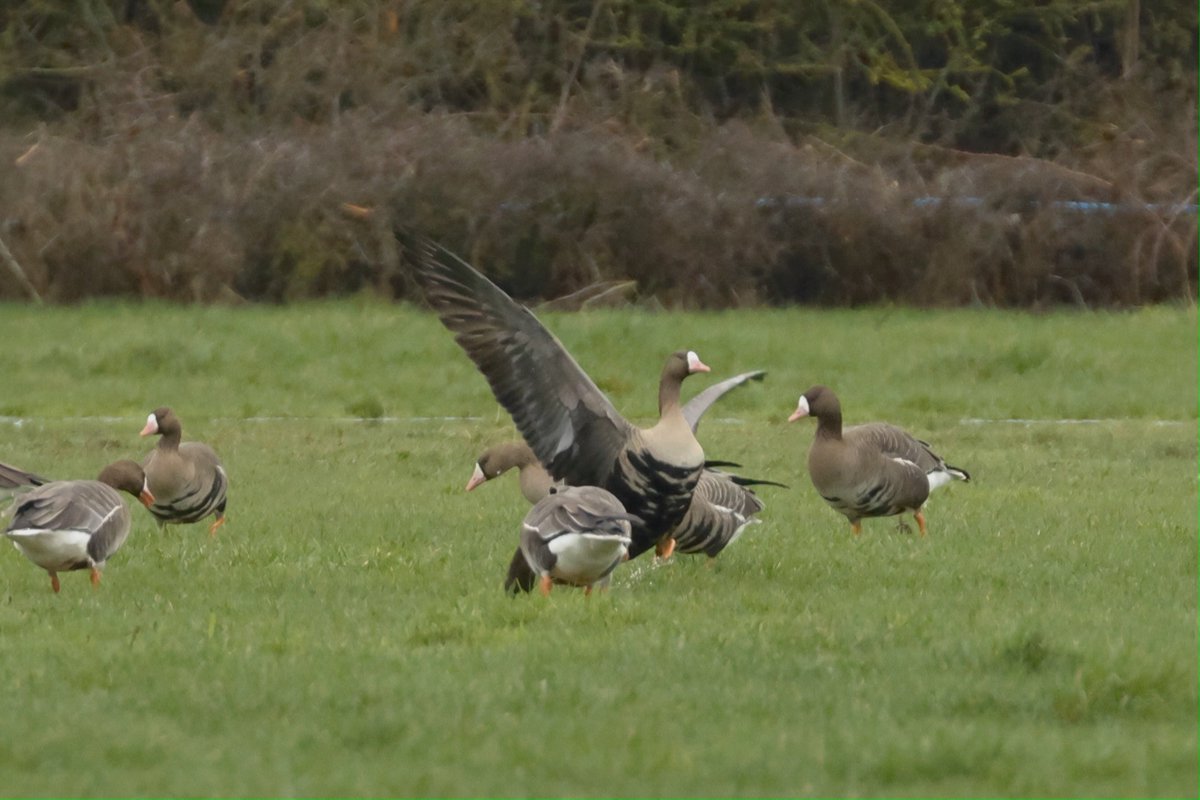 Gary H (@buzmor1) on Twitter photo 