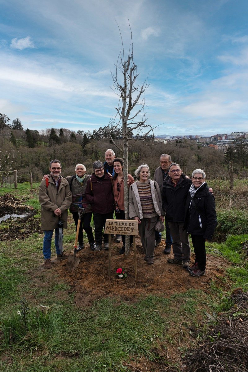 Sergio Calleja tweet media