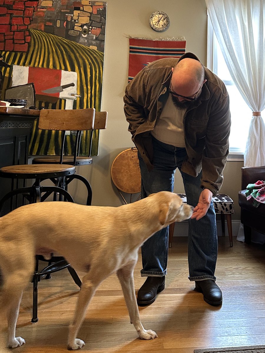 David Lane Design tweet media