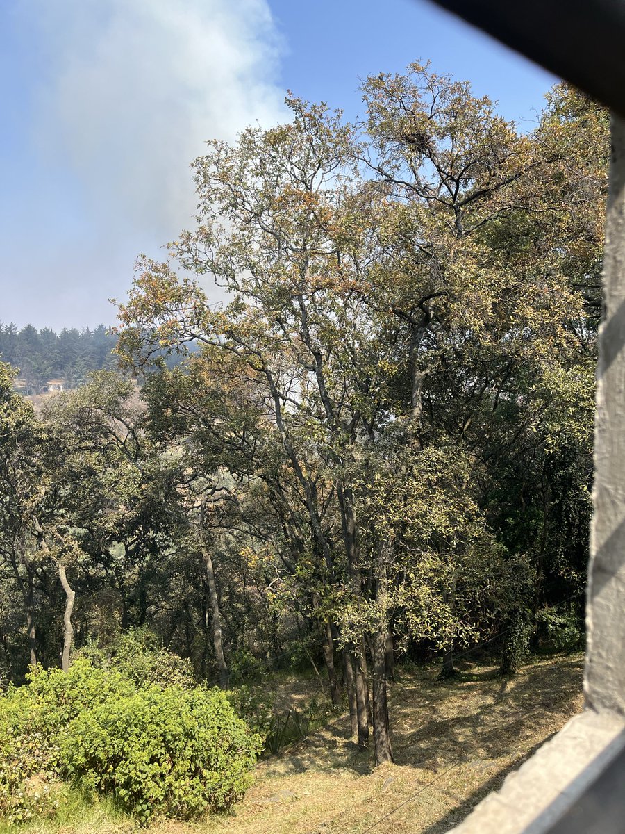 MILAGROS QUEZADA tweet media