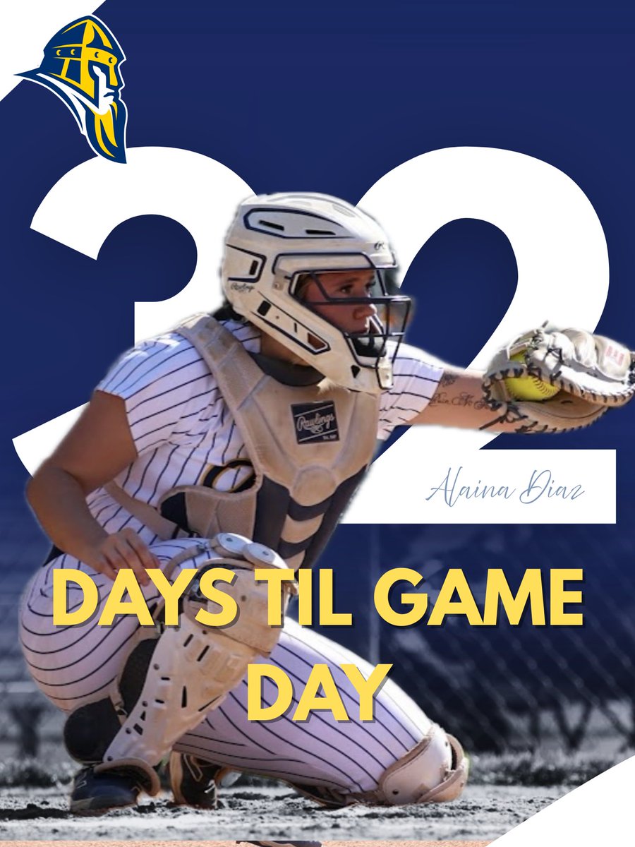 Augustana Softball tweet media