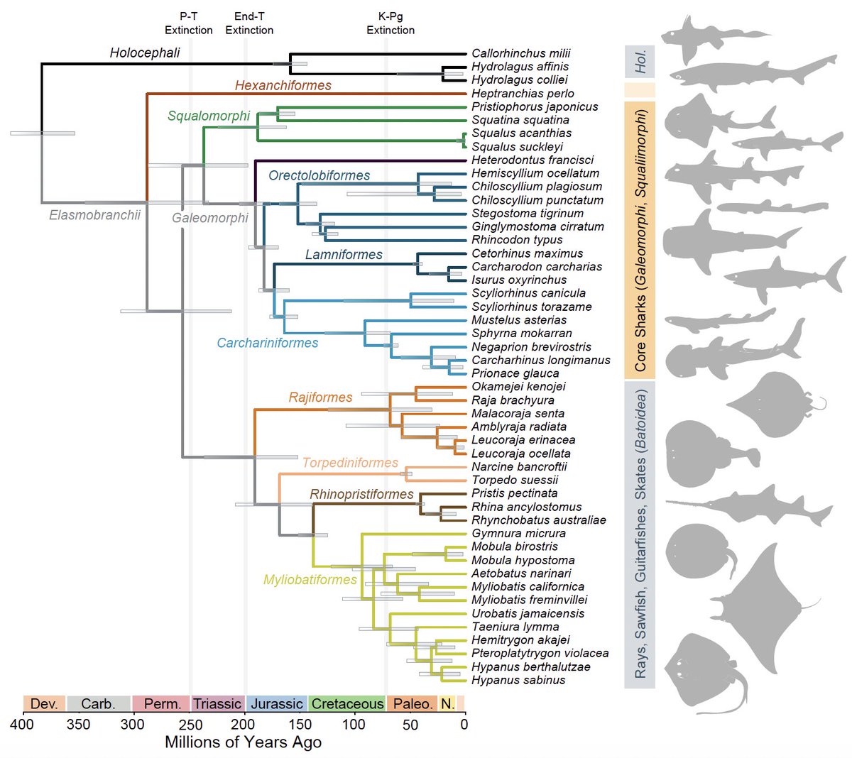 Chase Brownstein tweet media