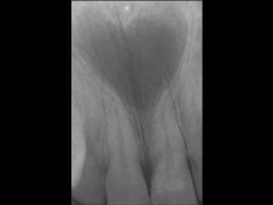 Abdulhamid tweet media