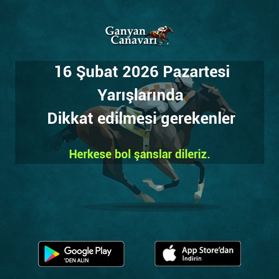 16 Şubat 2026 Pazartesi yarışlarında dikkat edilmesi gereken bazı bilgiler ✍️

⭐Bursa👇
ganyancanavari.com.tr/haber-detay/38…

⭐Şanlıurfa👇
ganyancanavari.com.tr/haber-detay/38…

#atyarışı #ganyancanavari #tjk