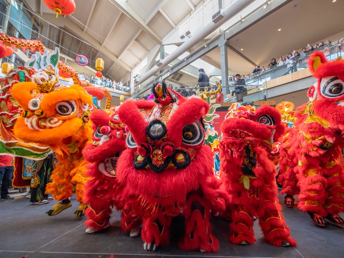 Bellevue Collection tweet media