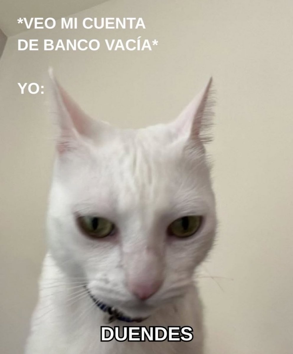 karla (@karlarboledas) on Twitter photo 