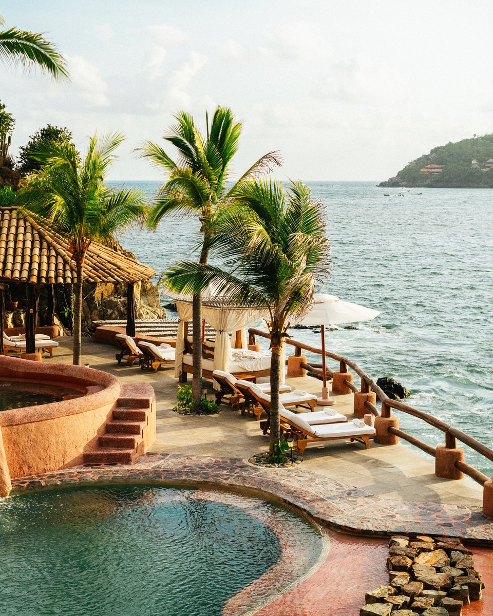 AMHIZ Hoteles Ixtapa Zihuatanejo tweet media