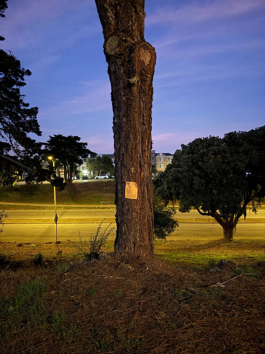 John B. Crabtree tweet media