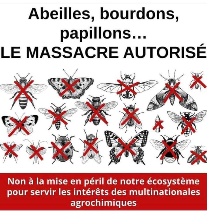 Adea Claude (@adeaclaude) on Twitter photo 