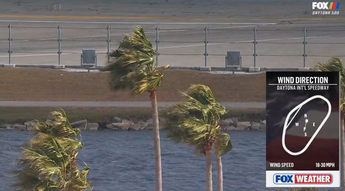 Mike Fallon tweet media