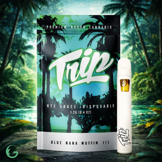 Lost in the green.
Found in the moment. 

#thegoodlife #arizona #mesa #welcomehome #goodvibes #vendorvillage