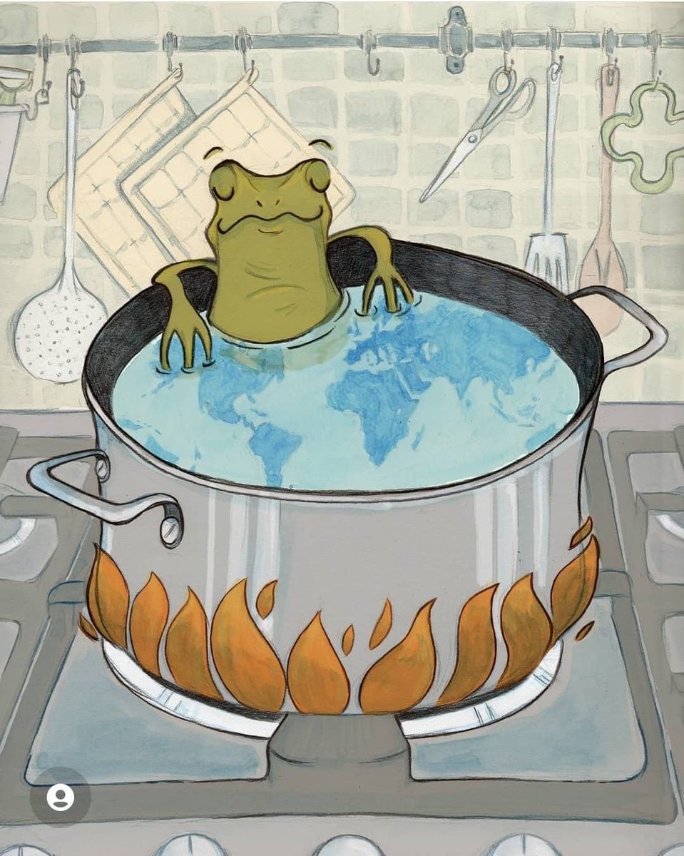 Rita w nowym rozdziale:

„Jeśli faktycznie jestem jak ta żaba, w tej chwili wrząca woda sprawia, że ogarnia mnie błogie ciepło. Nie czuję bólu, nawet jeśli w rzeczywistości konam.” 

#urwattpad