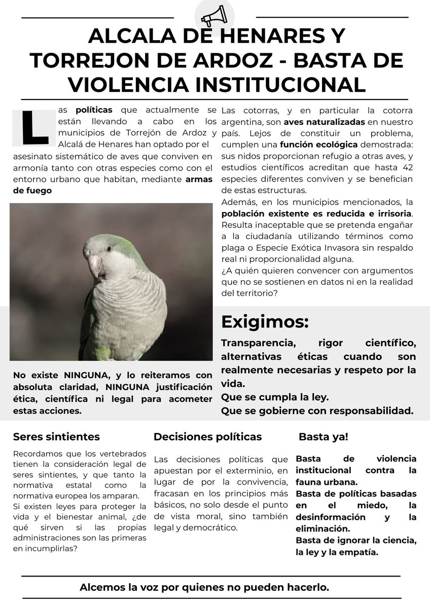 Alcalá de Henares y Torrejón de Ardoz responden a la presencia de aves urbanas a tiros, como si compartir territorio fuera un problema y no una realidad inherente a la vida en comunidad. Esto es violencia institucional contra seres sintientes. Paralización de las acciones ya!