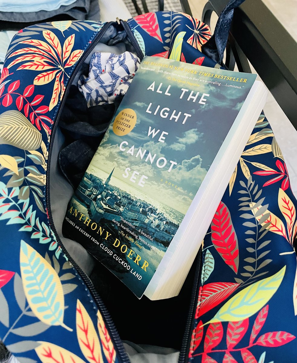 stephanie KAP🦁 tweet media