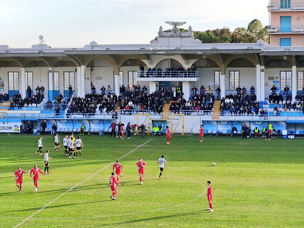 Michael Petersen tweet media