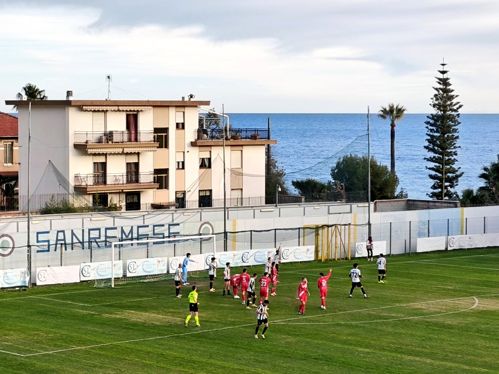 Michael Petersen tweet media