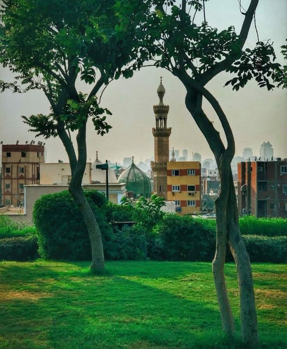 .يقول ابن القيم:
 " لا يزال المرء يعاني الطاعة حتى يألفها ويحبها، فيُقيض الله له ملائكة تؤزه إليها أزًا، توقظه من نومه إليها، ومن مجلسه إليها "!
منقول