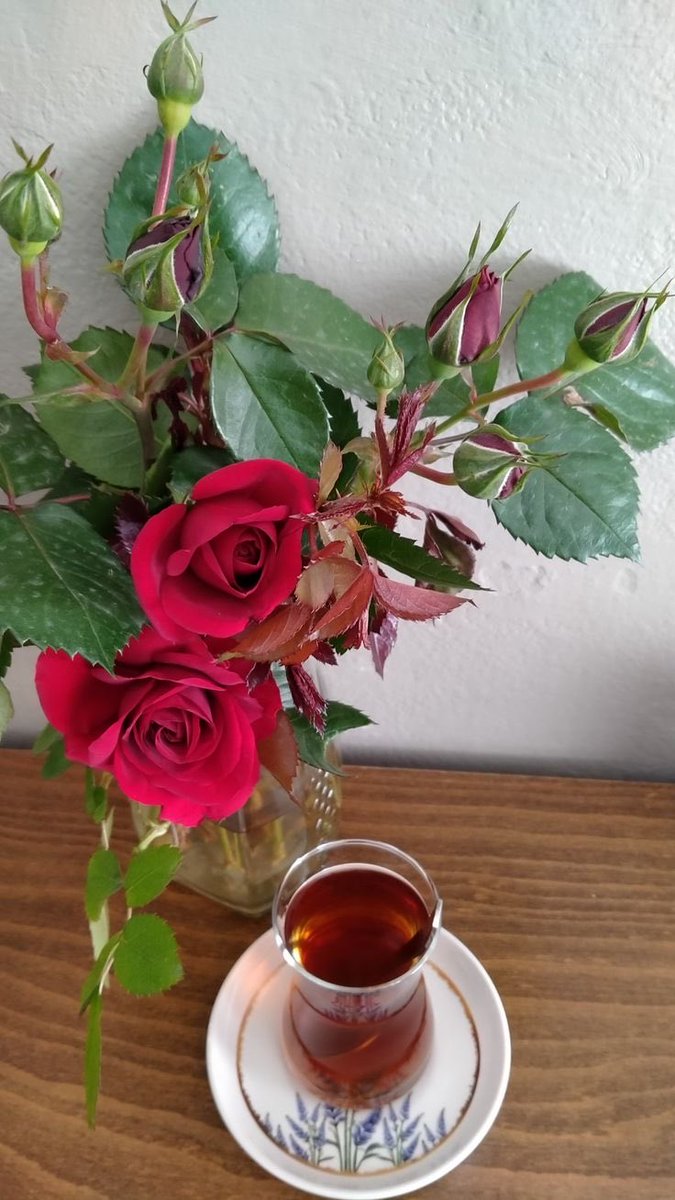 GÜLÜŞ______🦋🌹🦋 tweet media