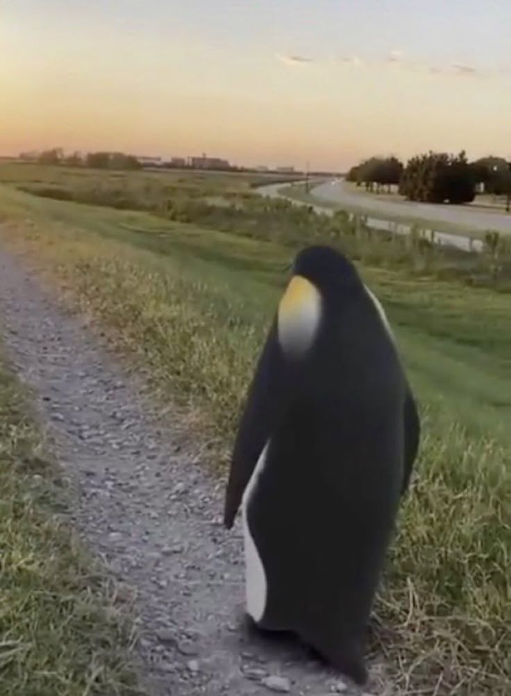 famiresu iko vol 1 ending vs. vol 2 ending