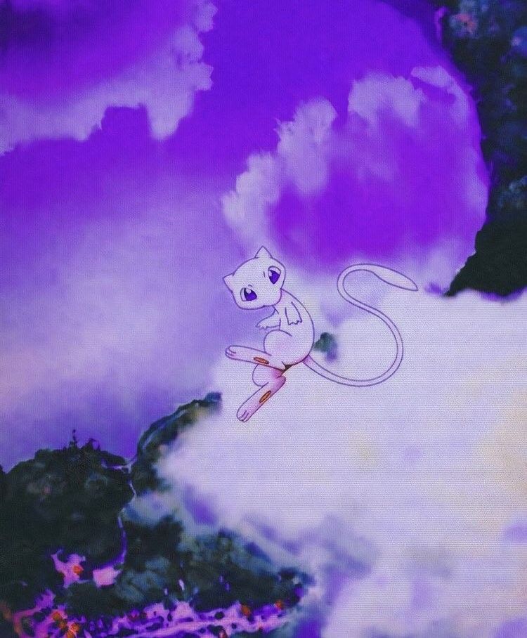 フィジ tweet media