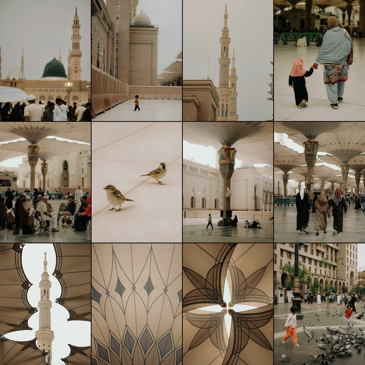 İnsan Medine’de yabancı gibi değil, sanki yıllardır uzak kaldığı asıl evine dönmüş gibi hisseder. Bünyenin o bahçeyi istemesi aslında "aslına rücu" etme arzusudur. 🍃