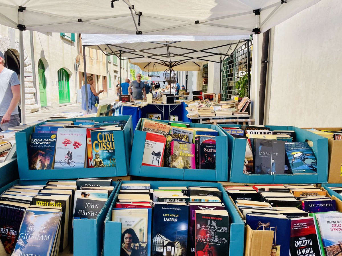 stephanie KAP🦁 tweet media