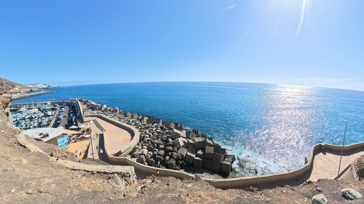 La Bêtise tweet media