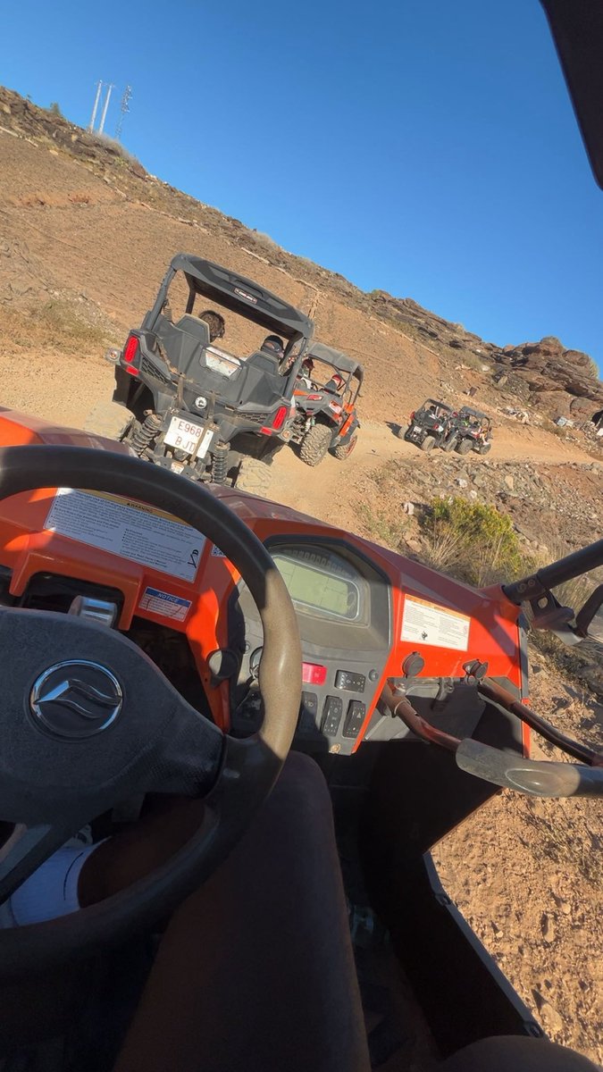 La Bêtise tweet media