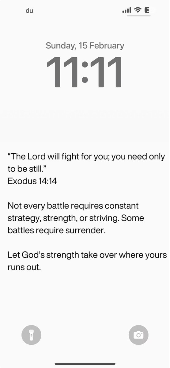 Curled Life tweet media