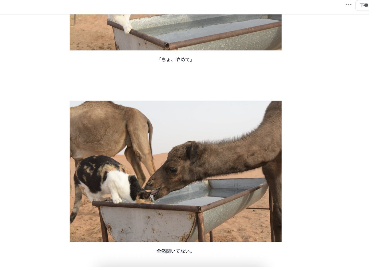 お待たせをいたしました。本をご予約くださった方へ特典のお知らせになります。
2月17日18時までに特典受け取りをお申し込みくださった方に、リンクをいくつかお送りします。そちらを開いていただくと、本に載せきれなかった写真や、本に書いた内容と関連したお話などを見ていただけます。