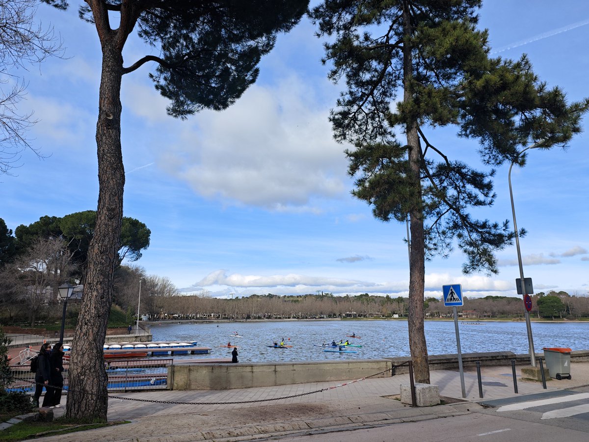 KatySnchez's tweet image. Lago de la Casa de Campo con cielos despejados #lago #CasadeCampo #hacerfotos