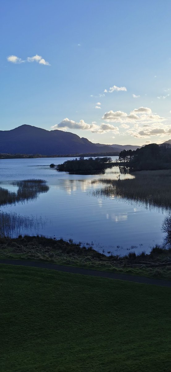 Denyse Scully tweet media