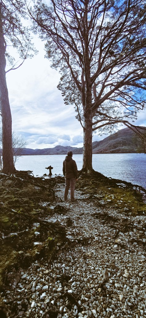 Denyse Scully tweet media