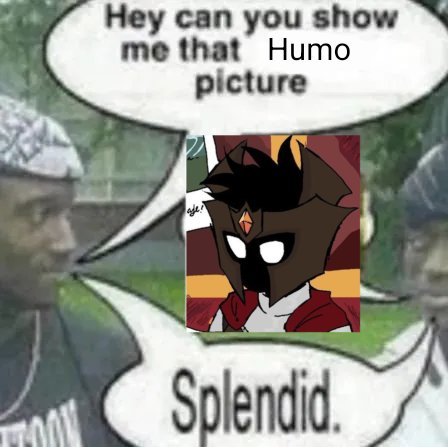 Shitpost Farfadox tweet media