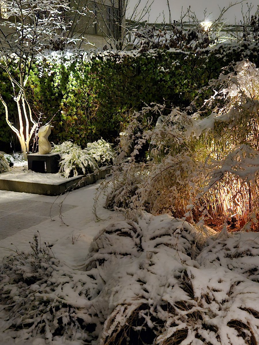 Catrien Floris tweet media