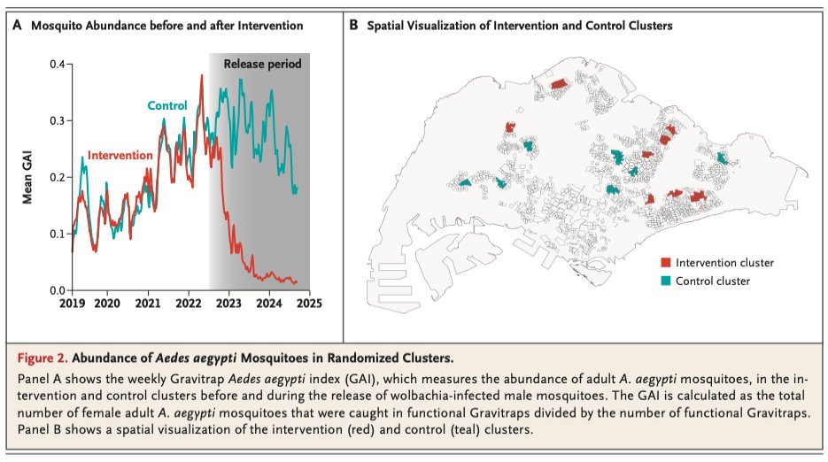 Niko McCarty. tweet media