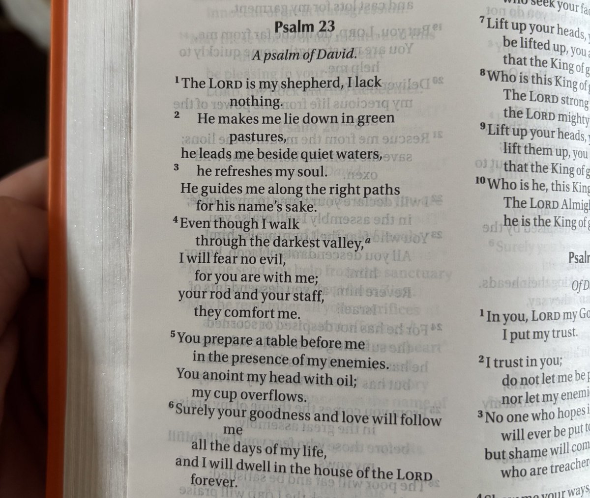 Jake Maggio tweet media